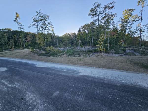 Standish, ME 04084,LOT #36 Woodbrey HTS