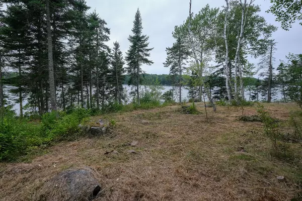 Sedgwick, ME 04676,31 Osprey Point RD