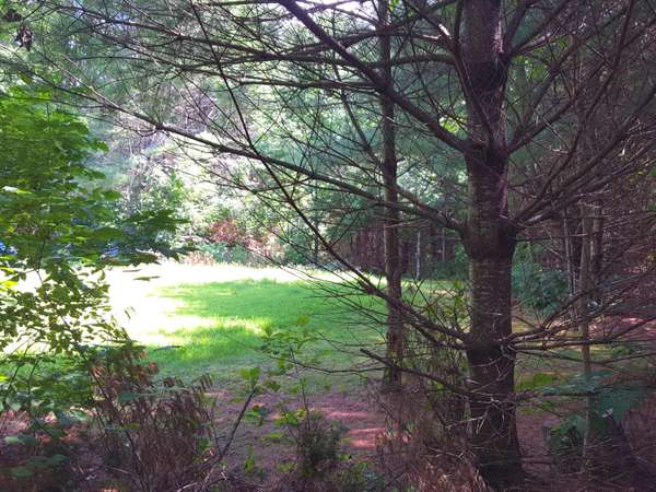 LOT#8 Harrison Road RD, Naples, ME 04055