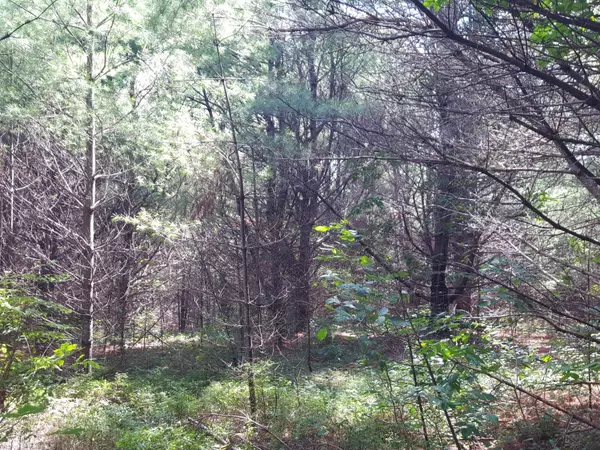Naples, ME 04055,LOT#11 Harrison Road RD