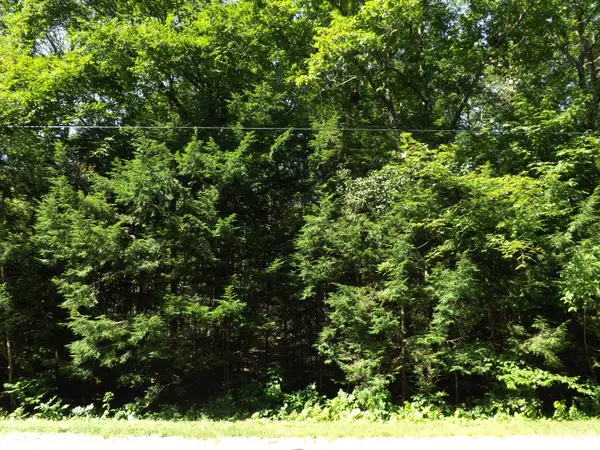 Lincolnville, ME 04849,Lot #15 Greenacre RD