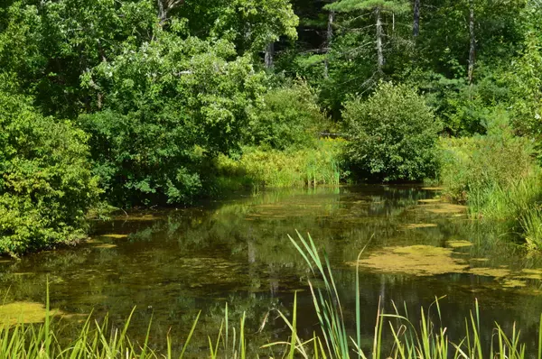 Litchfield, ME 04350,1548 Hallowell RD