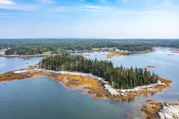 Saint George, ME 04859,Lot 55 Calf IS