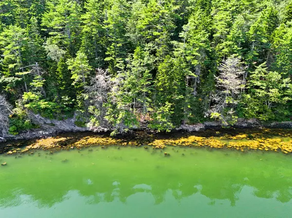 Westport Island, ME 04578,Lot 14.15A Cove Side WAY