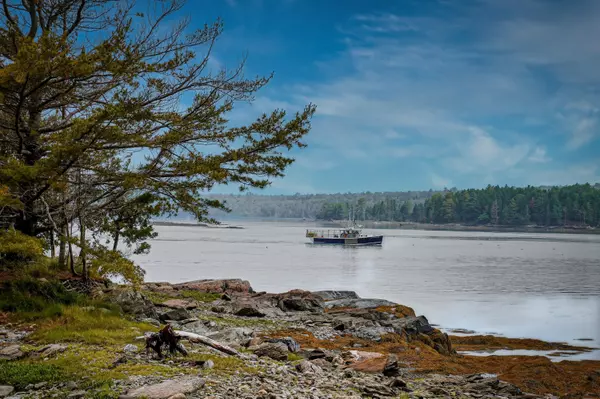 Lamoine, ME 04605,Lot #5 Seal Point Road