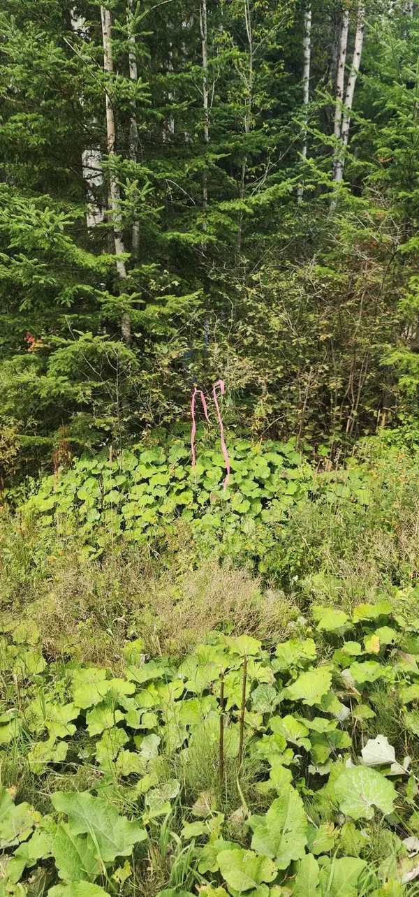 Madawaska, ME 04756,off Fongemie RD