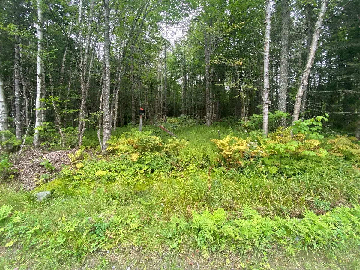 Shirley, ME 04485,9-17 Oak Ridge RD