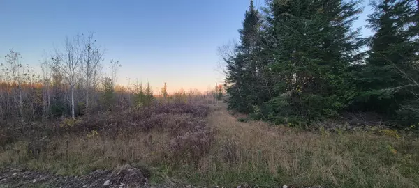Madawaska, ME 04756,M19 L57 Lavertu RD