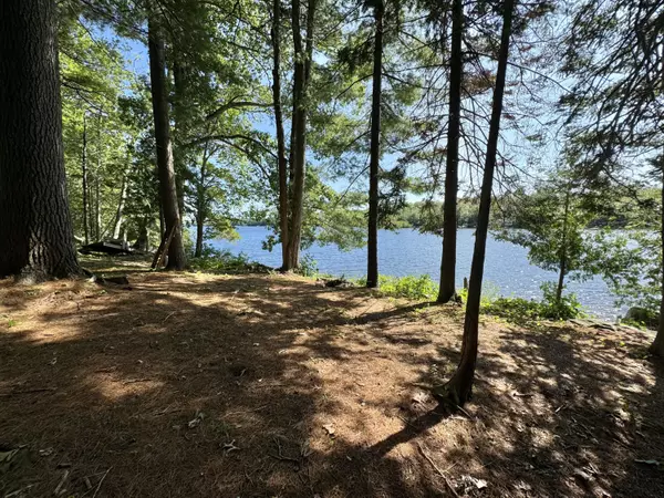 Orland, ME 04472,1173 Acadia HWY