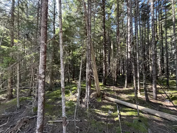 Roque Bluffs, ME 04654,Lot #47 Old Wagon RD