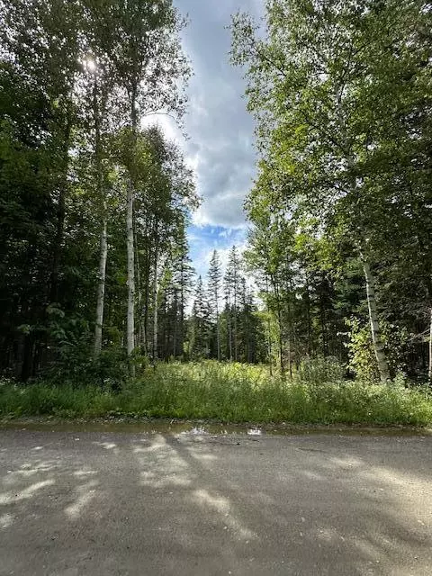 Coplin Plt, ME 04982,Lot 13 Porcupine TRL