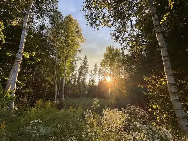 Coplin Plt, ME 04982,Lot 13 Porcupine TRL