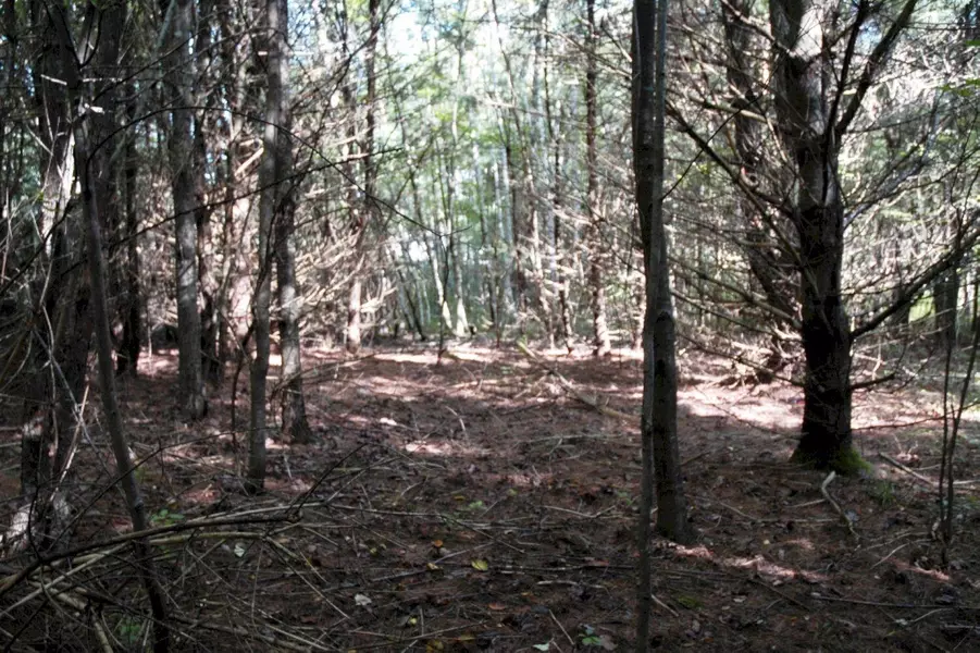 M7 L69-4 Willis RD, Benton, ME 04901