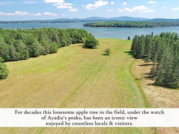 Trenton, ME 04605,607 Oak Point RD