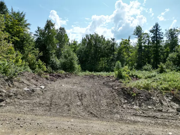Springfield, ME 04487,Lot 5 Dirty Glove RD