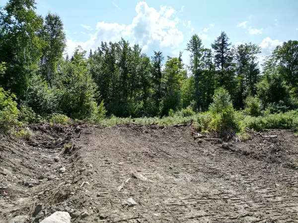 Springfield, ME 04487,Lot 5 Dirty Glove RD
