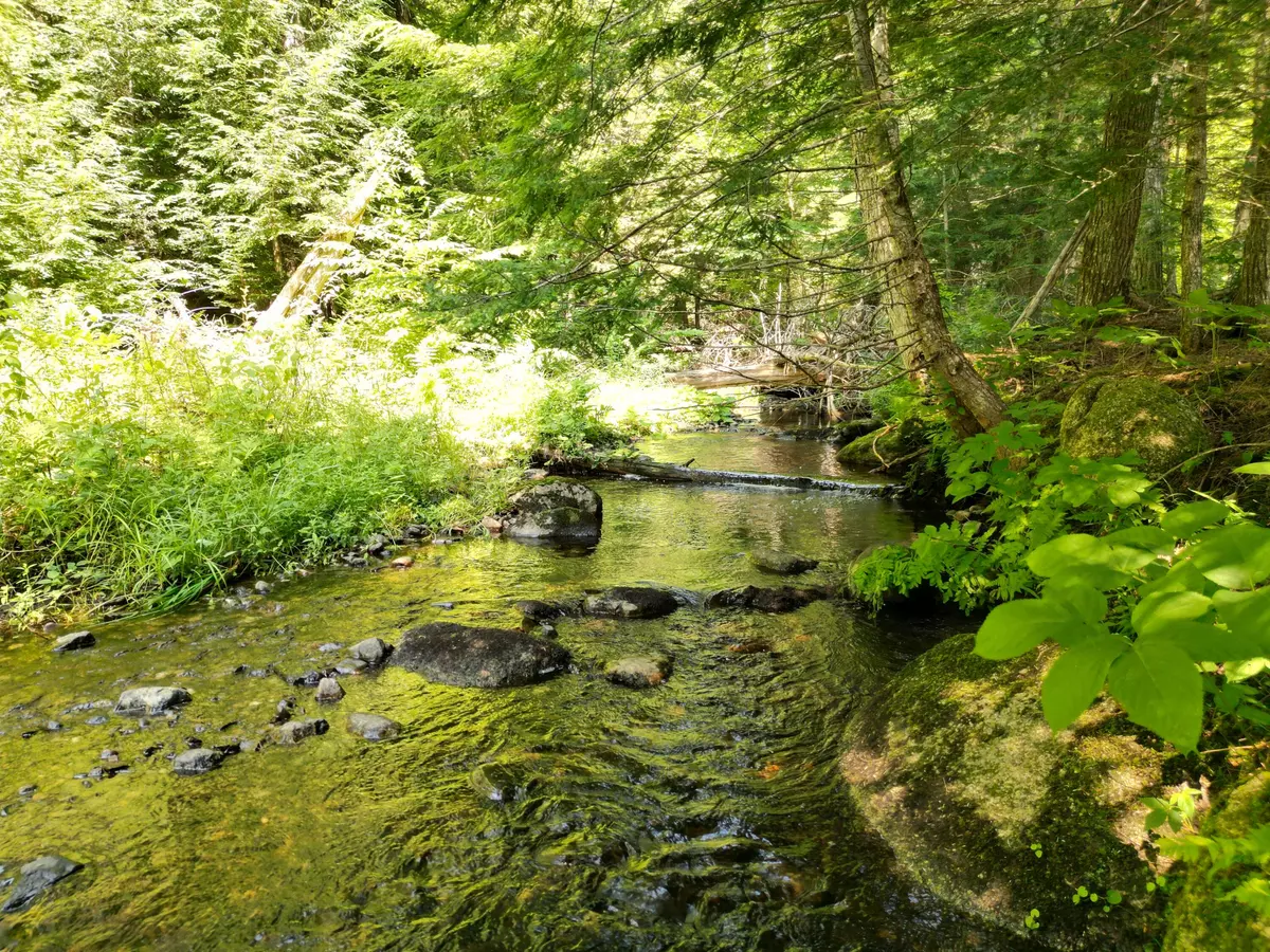 Springfield, ME 04487,Lot 6 Dirty Glove RD