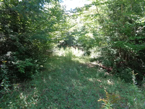 Orland, ME 04472,Lot 4 Winkumpaugh XING