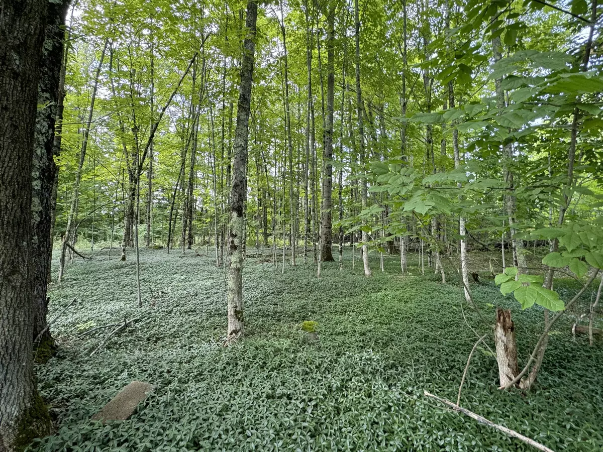 Limerick, ME 04048,12 Range E RD