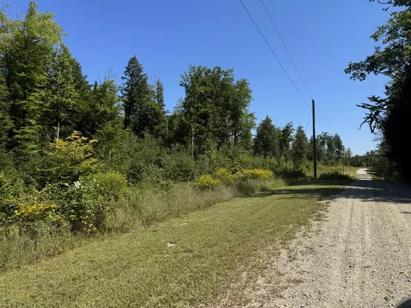 Limerick, ME 04048,Lot 105 Dog RD