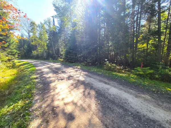 T16 R5 Wels, ME 04779,Lot161/162 Abraham Point Rd