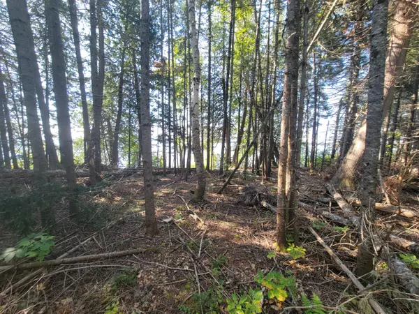 T16 R5 Wels, ME 04779,Lot161/162 Abraham Point Rd