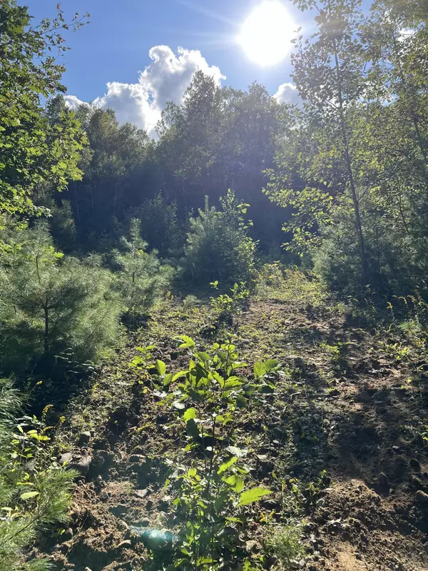 Albany Twp, ME 04271,Lot 9 Songo Pond RD