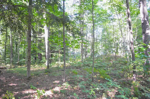 Auburn, ME 04210,120 Taywood RD