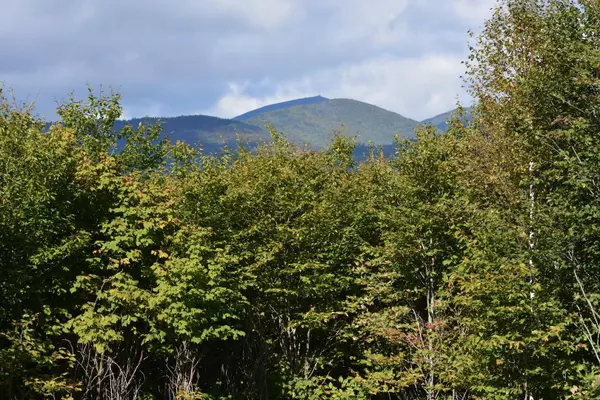 Kingfield, ME 04947,Lot 16 Wesserunsett RD