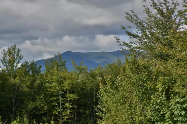 Kingfield, ME 04947,Lot 16 Wesserunsett RD