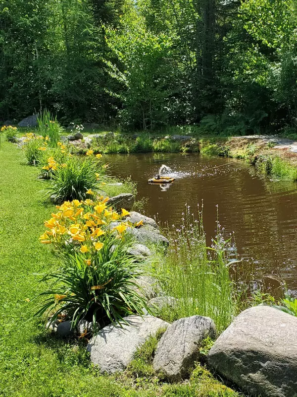 Stockton Springs, ME 04981,50 Heights RD