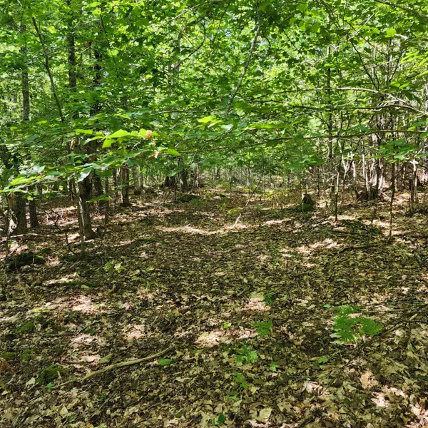 Naples, ME 04055,Lot 15 H Red Squirrel LN