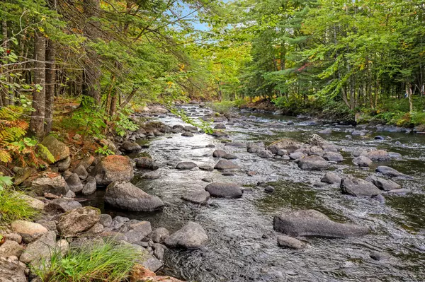 Carthage, ME 04224,Lot 1 River Bend