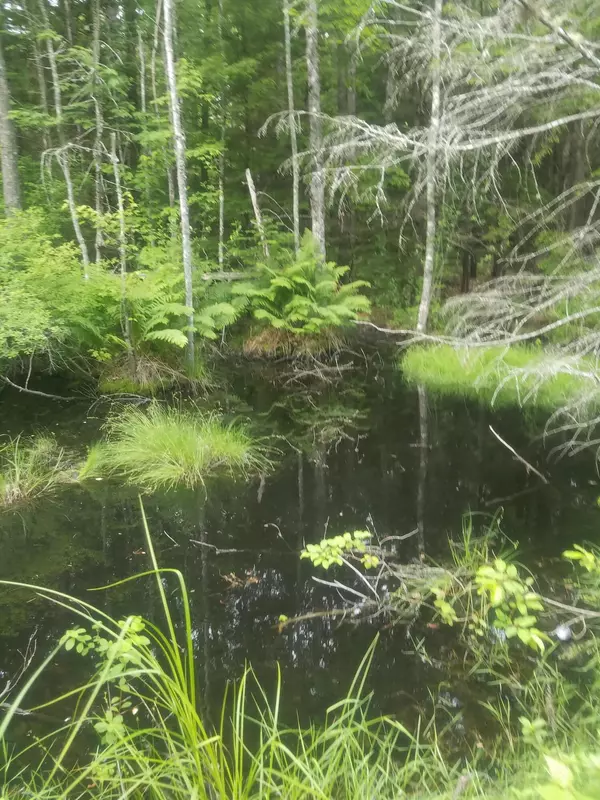 Otis, ME 04605,R10 005 E ROUTE 180 Roads