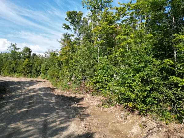 Springfield, ME 04487,Lot 11 West RD