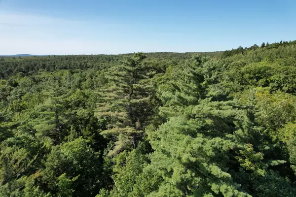 Alexander, ME 04694,Lot 53 Robb Hill RD