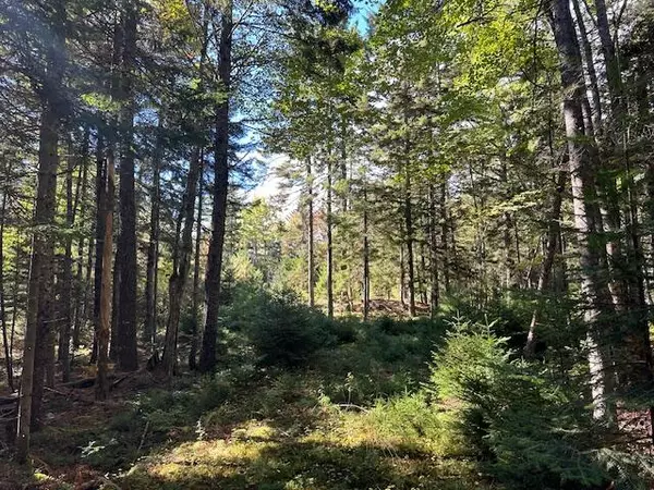 Lincolnville, ME 04849,17-33 South Cobbtown RD