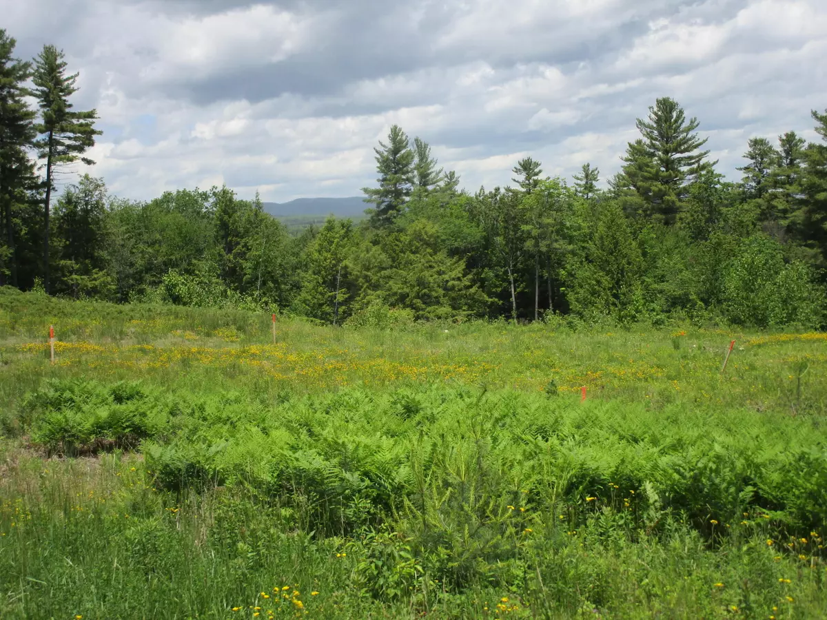 Mechanic Falls, ME 04256,Map7 Lot18 Saunders RD