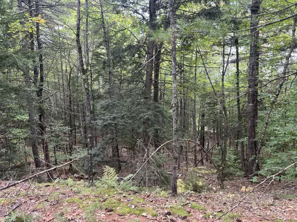 Stow, ME 04037,14 Fernalds Hill WAY