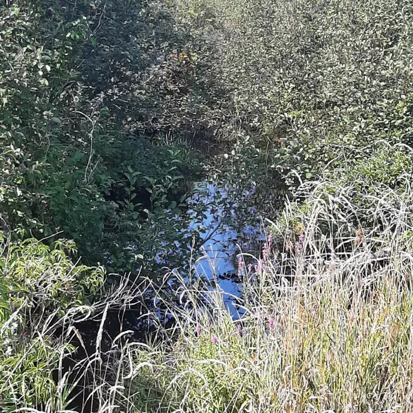 Stacyville, ME 04777,10/11 Grindstone Rd / Rte 11 RD