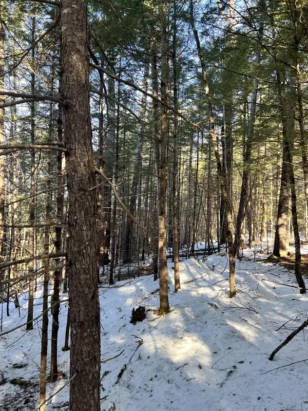 Stow, ME 04037,Lot 3 Map 5