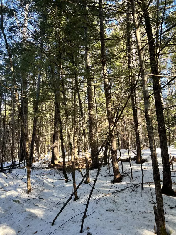 Stow, ME 04037,Lot 3 Map 5