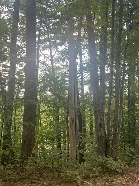 1749 Fairview DR, Waterboro, ME 04061