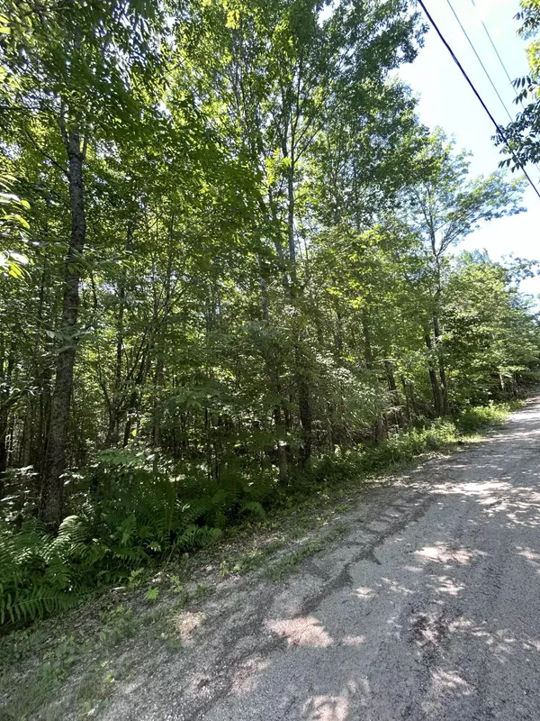 Hebron, ME 04238,Lot 5 Brook Road