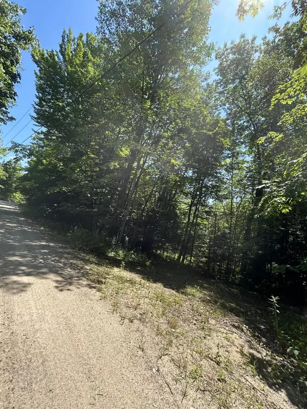 Hebron, ME 04238,Lot 5 Brook Road