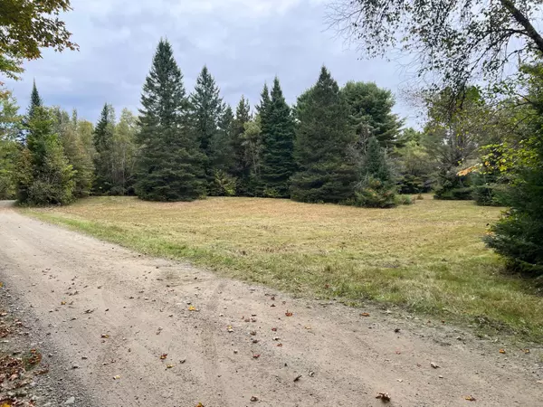 Lot 4 Town Line RD, Springfield, ME 04487