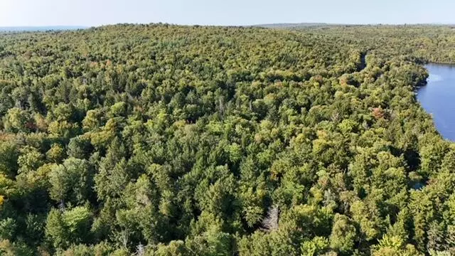 7-2 Norway Point RD, Lake View Plt, ME 04463