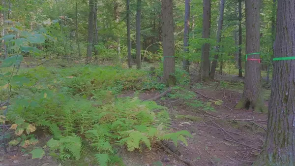 Fryeburg, ME 04037,Lot A Highland Park RD