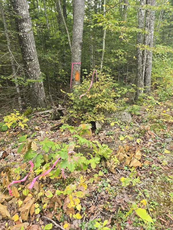 Deblois, ME 04622,Lot 35 Lower RD
