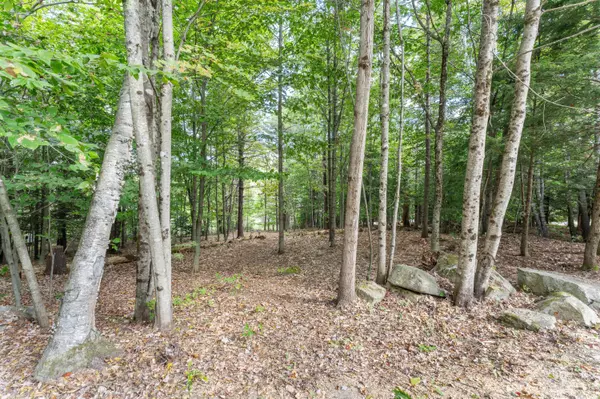 Rome, ME 04963,101 Mercer RD